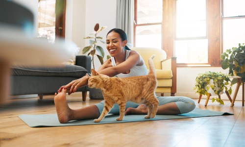 Happy pet with its owner 